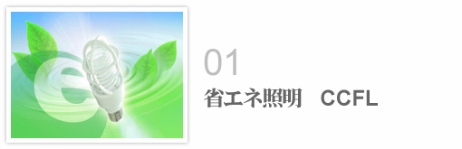 CO2削減 省エネ照明 冷陰極