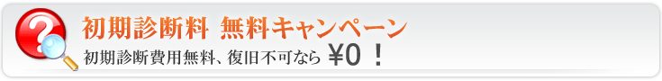 HDDデータ復旧 データ復旧サービス 初期診断料 無料キャンペーン 初期診断費用無料、復旧不可なら￥0！